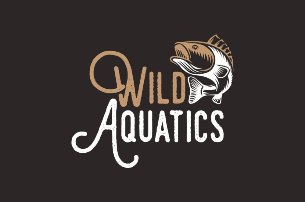 Vintage-Logo-wild-1024x682-1